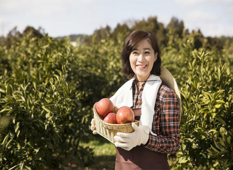 【潤康】磨煤機(jī)磨輥與您分享：互聯(lián)網(wǎng)巨頭紛紛賣菜，農(nóng)民會(huì)不會(huì)被“割韭菜”？